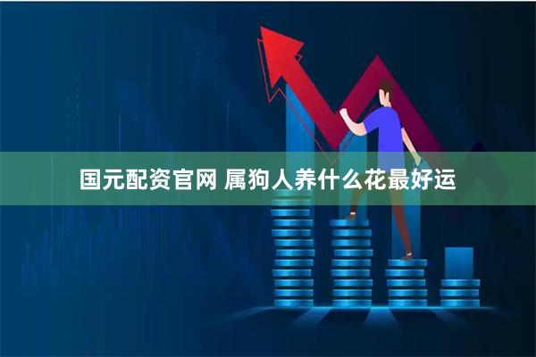 国元配资官网 属狗人养什么花最好运