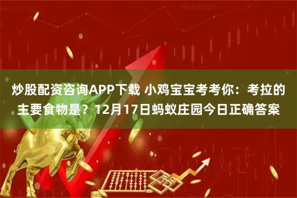 炒股配资咨询APP下载 小鸡宝宝考考你：考拉的主要食物是？12月17日蚂蚁庄园今日正确答案
