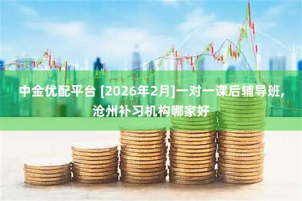 中金优配平台 [2026年2月]一对一课后辅导班,沧州补习机构哪家好